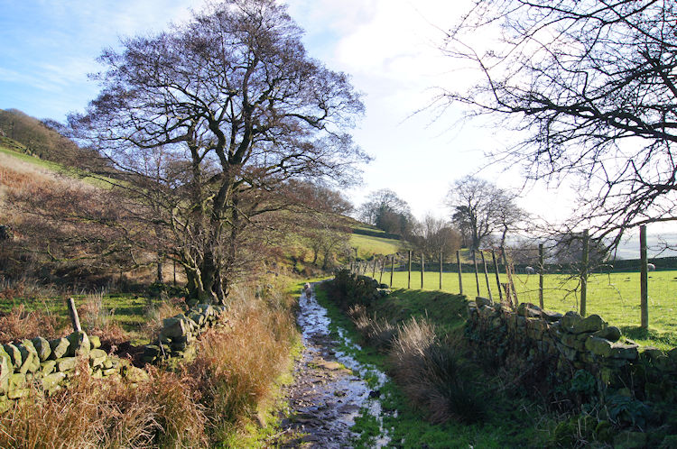 Path to Rocher Head