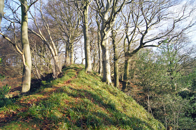 The Motte on Bailey Hill