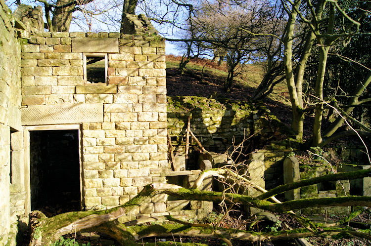 The sad remains of Rocher Head Farm