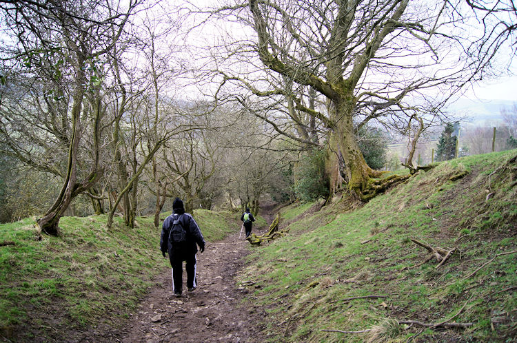 The path near Townhead Bridge