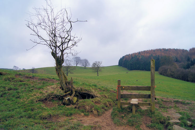 Isolated stile on the Limestone Way