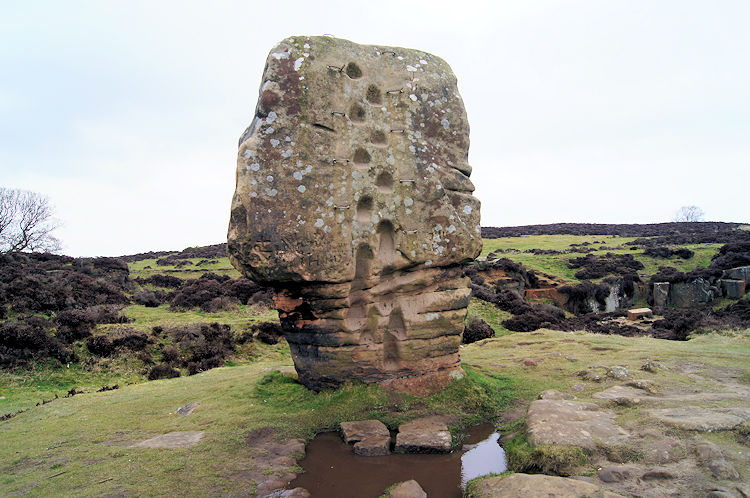 Cork Stone