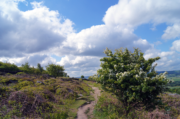 Below Baslow Edge