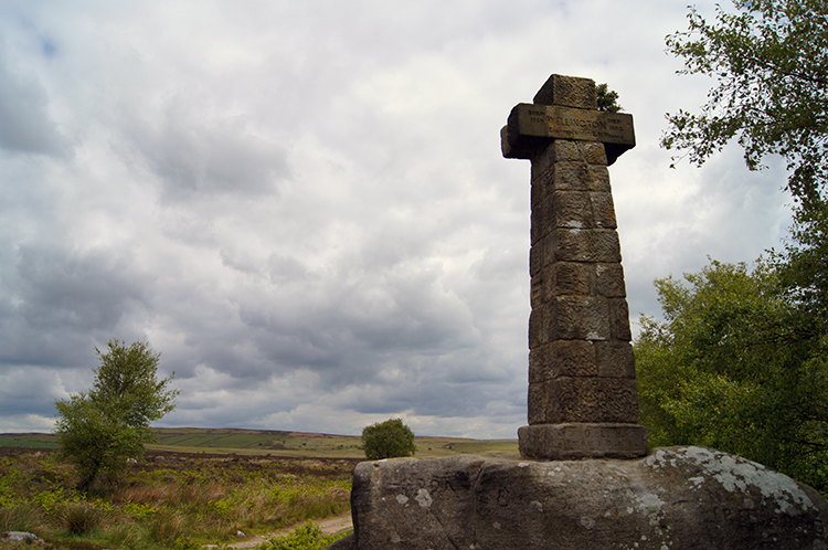 Wellington's Monument