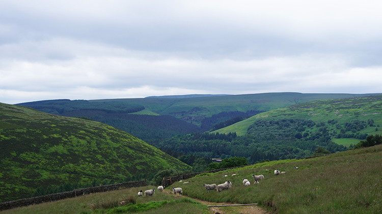 Descending via Hey Bank