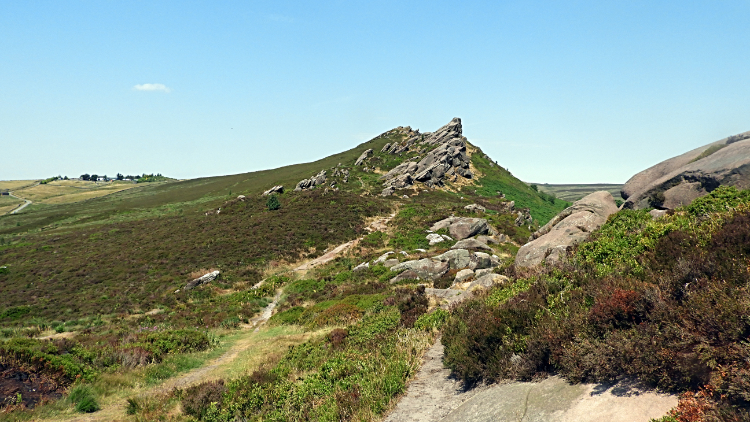 Ramshaw Rocks Ridge