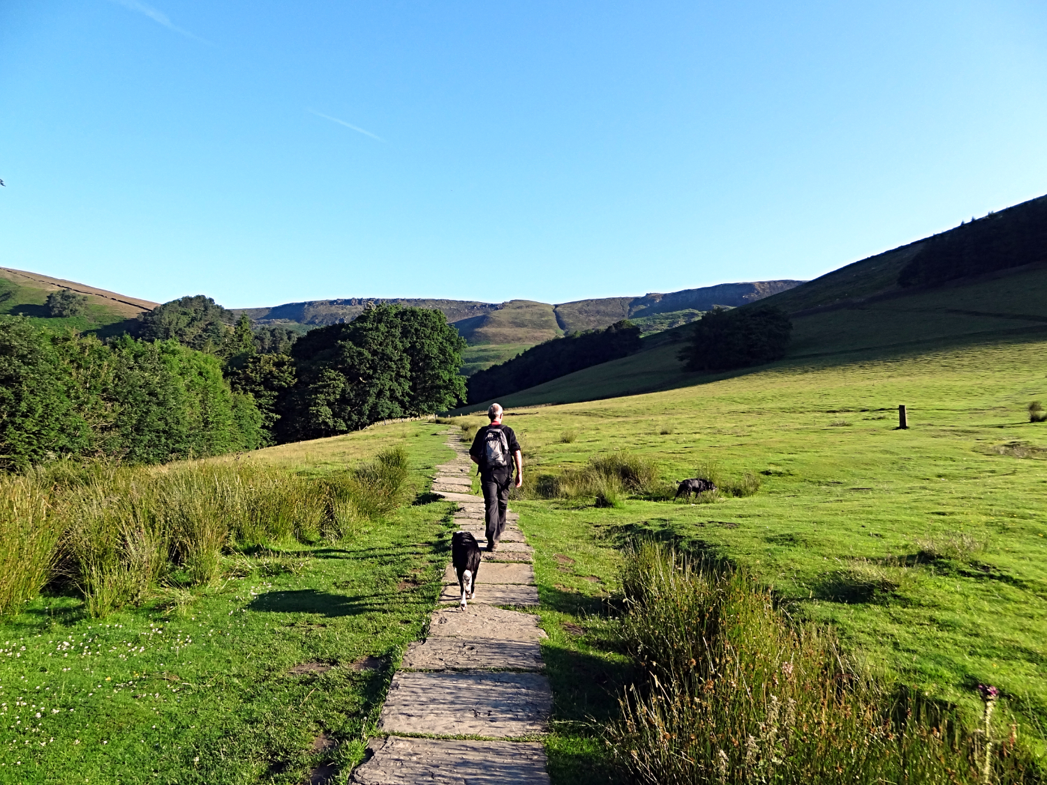 Walking northwards to Grinds Brook