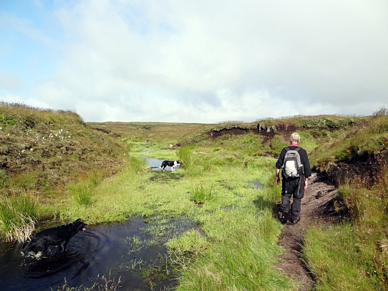 Source of River Kinder near Crowden Edge