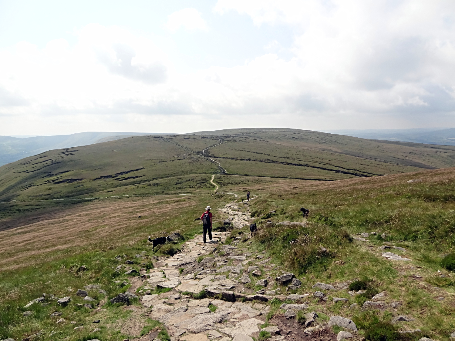 The way south from Swines Back to Brown Knoll