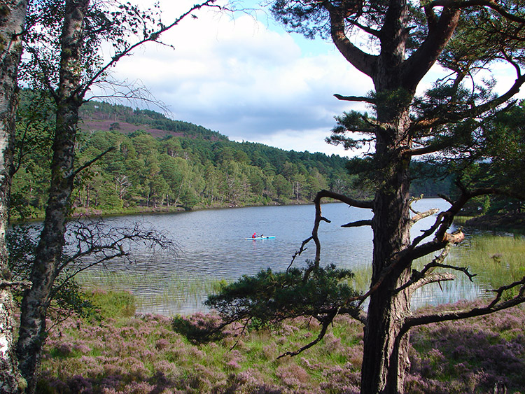 View over Loch an Eilein