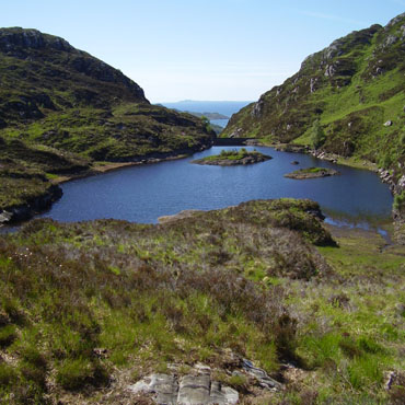 Looking west down the valley