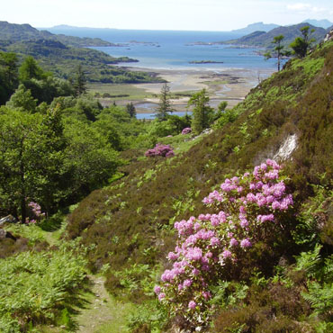 To the Sound of Eigg