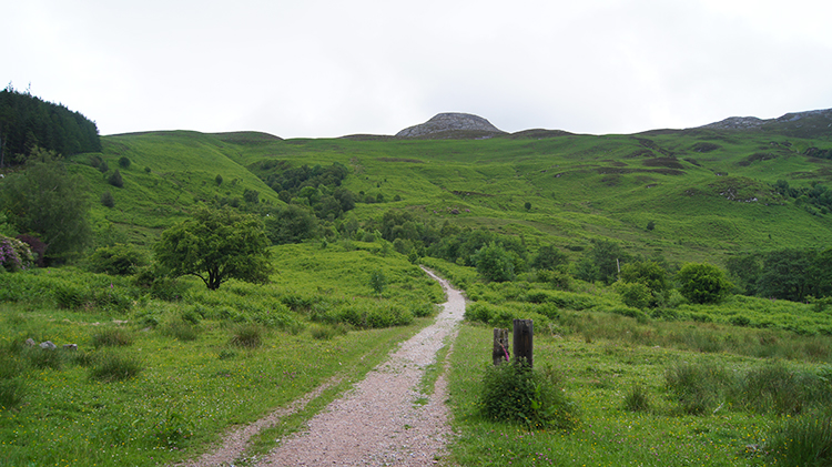 Access path to the moor