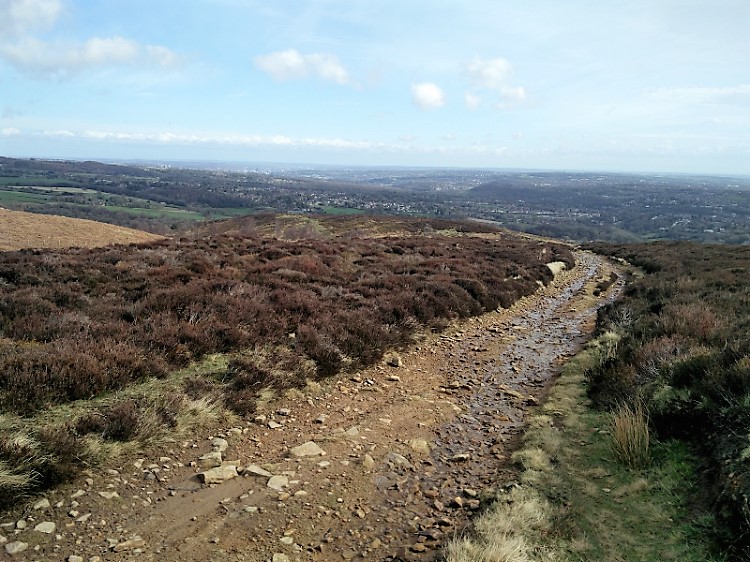 View to Sheffield from Totley Moss