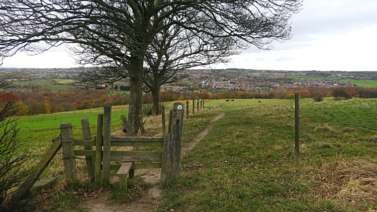The countryside walk to Elsecar