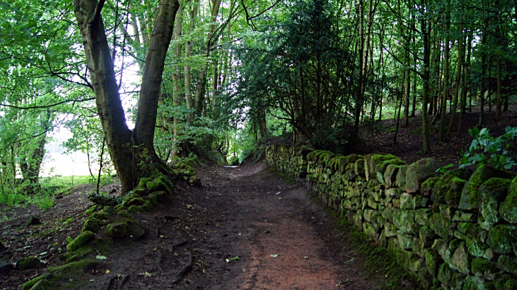 Path through Corbet Wood, Grinshill Hill