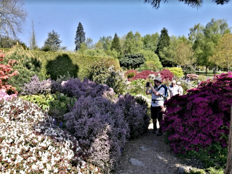 The author enjoying the flowers in Emmetts Garden