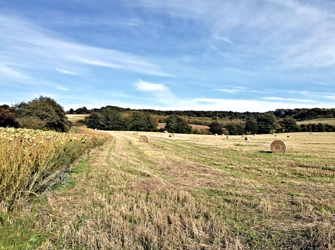 Crossing the Downs