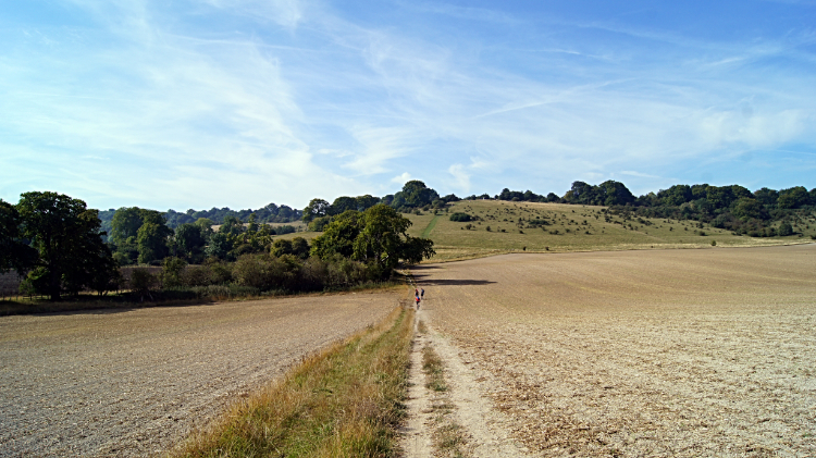 The gap from Gallows Hill to Steps Hill