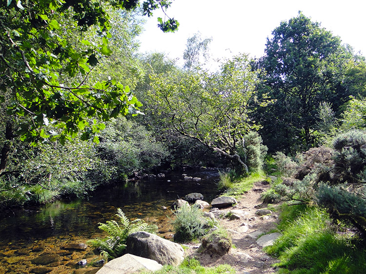 Belstone Cleave