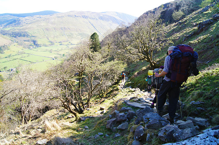 Descending from Ystrad gwyn to the woodland