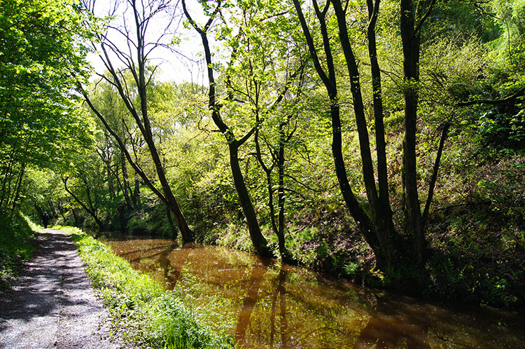 Ambling beside the Monmouthshire and Brecon Canal