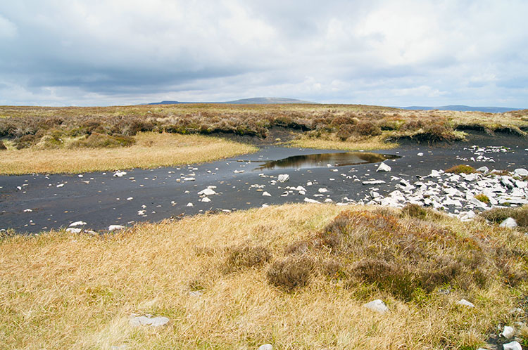 Boggy terrain on Twr Pen-cyrn (Mynydd Llangatwg)