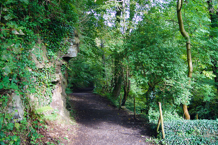 The track to the waterfalls from Pontneddfechan