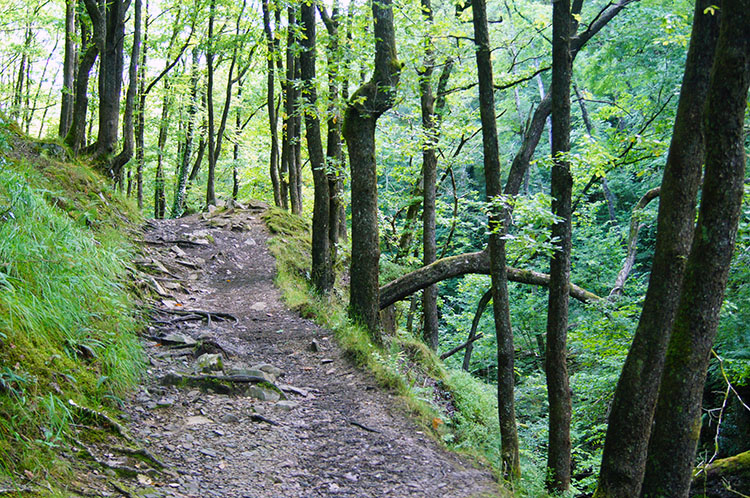 A roller coaster path as it tracks Nedd Fechan upstream