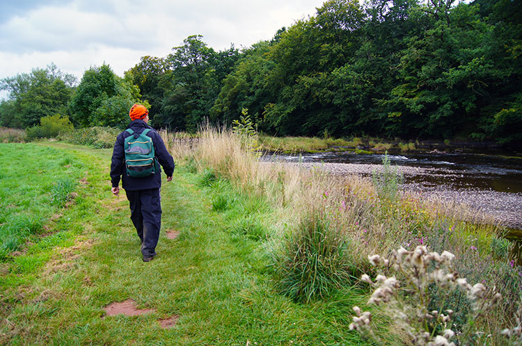 Following the River Usk from Brecon