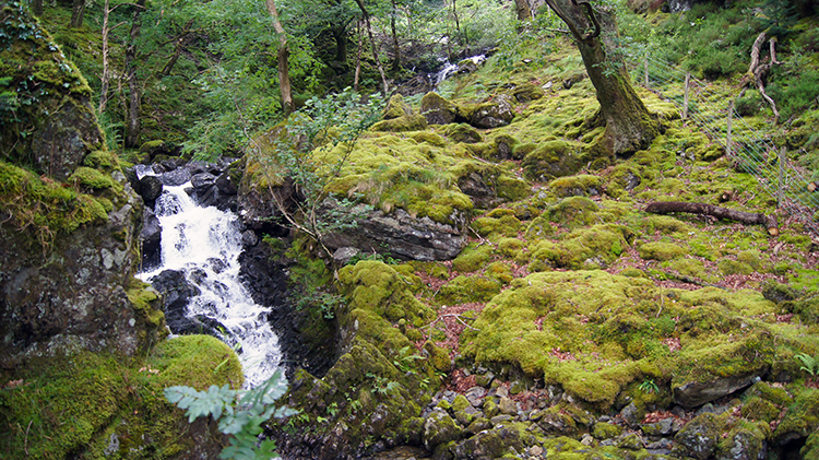 Nant Cadair