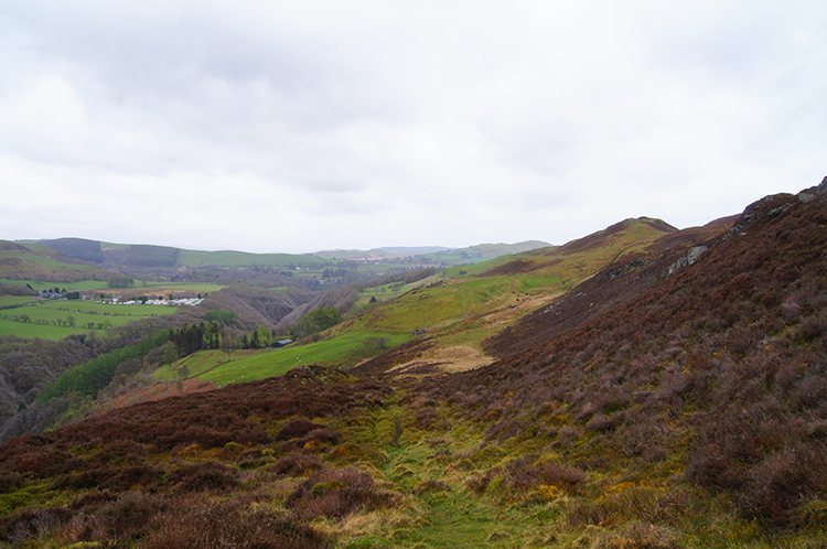 Ceredigion countryside