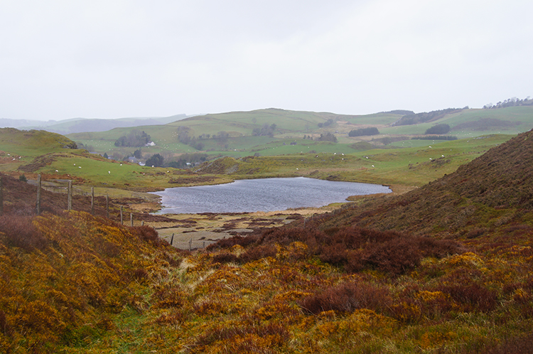 Llyn Bras