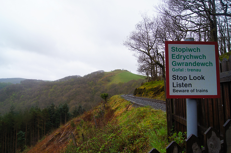 Crossing the Vale of Rheidol Railway