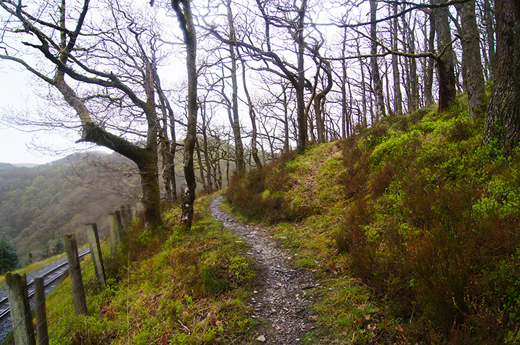 Path parallel to the railway line