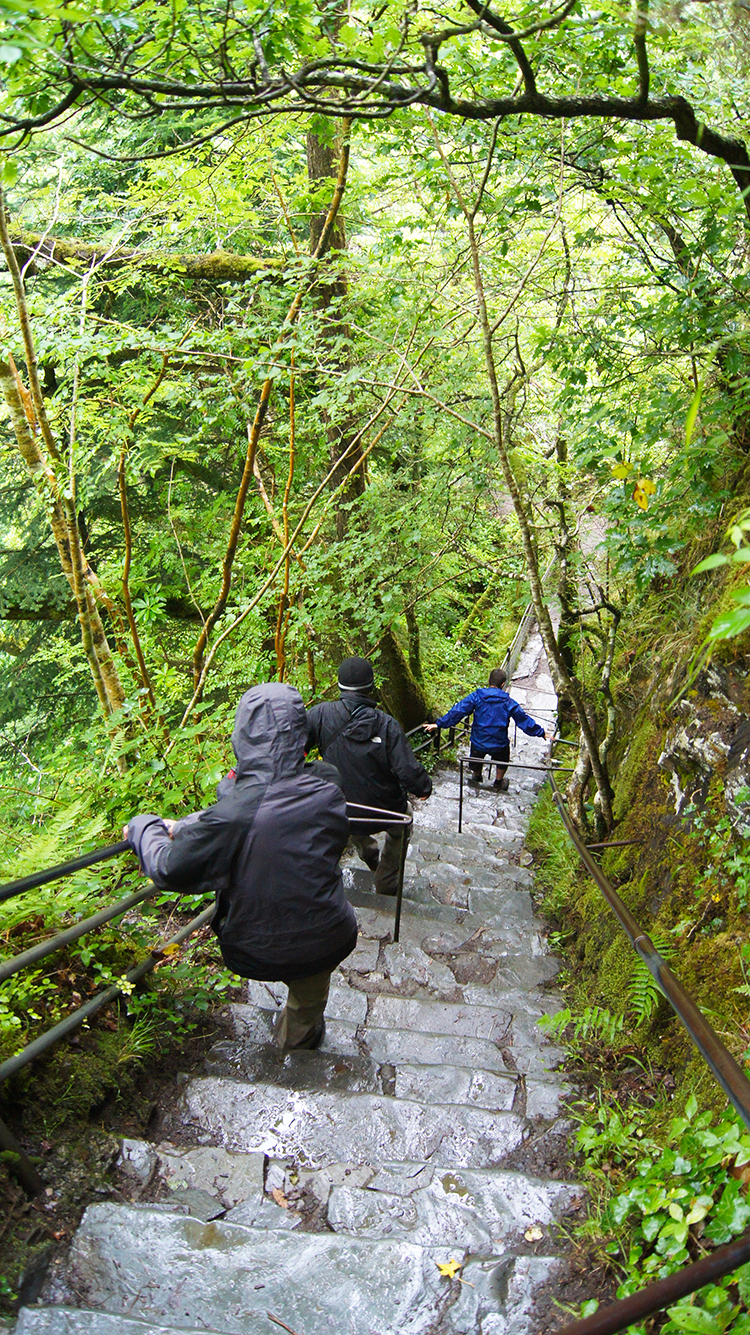 The scary steep steps into the gorge