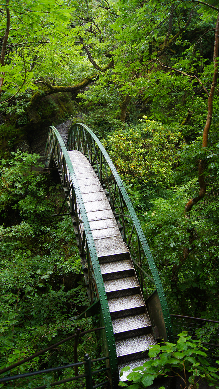 Bridge across Afon Mynach