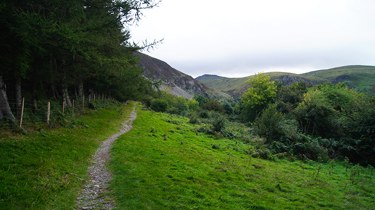 The path leading into the plantation