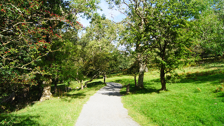 Sunshine breaks out on the walk back