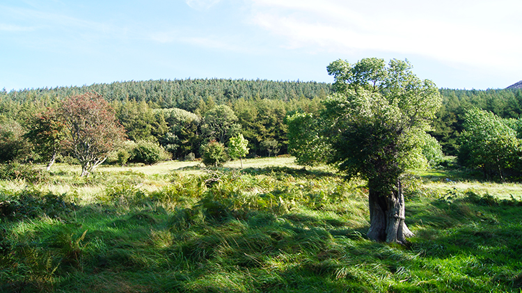 Beauty of North Wales