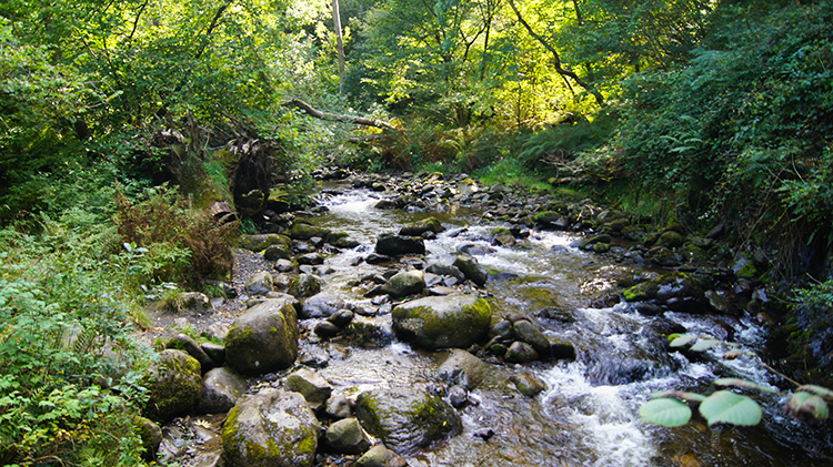 Afon Rhaeadr Fawr