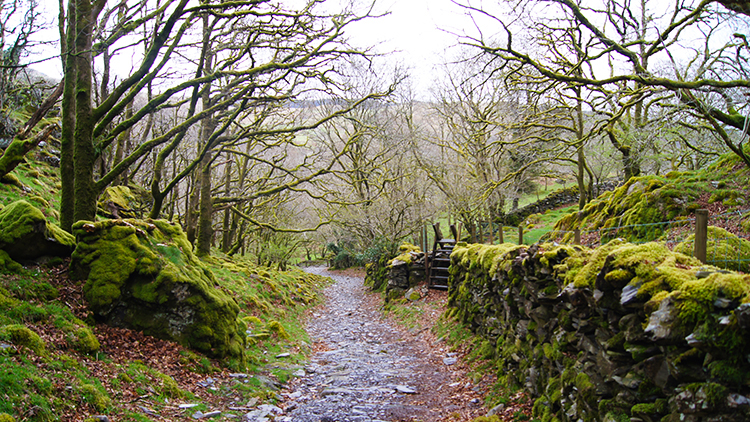 Path climbing north-west from Croesor