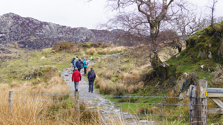 On the path to Cnicht