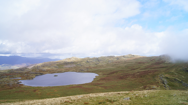 Llyn yr Adar