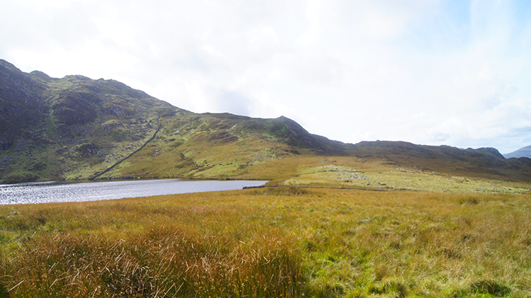 Crossing the bog