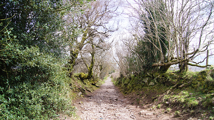 The lane to Bailea