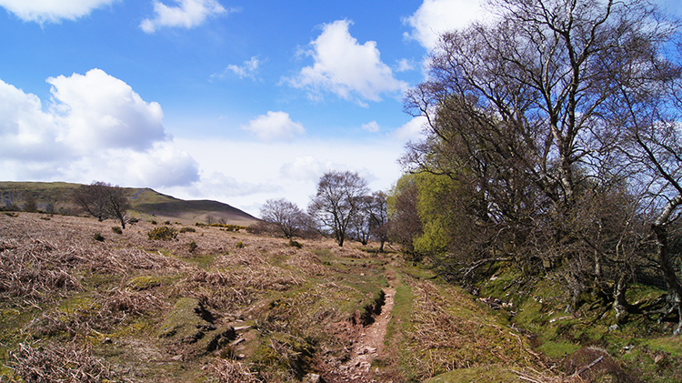 Heading home by skirting Allt Ddu