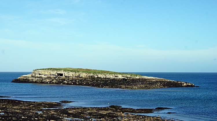 Ynys Moelfre