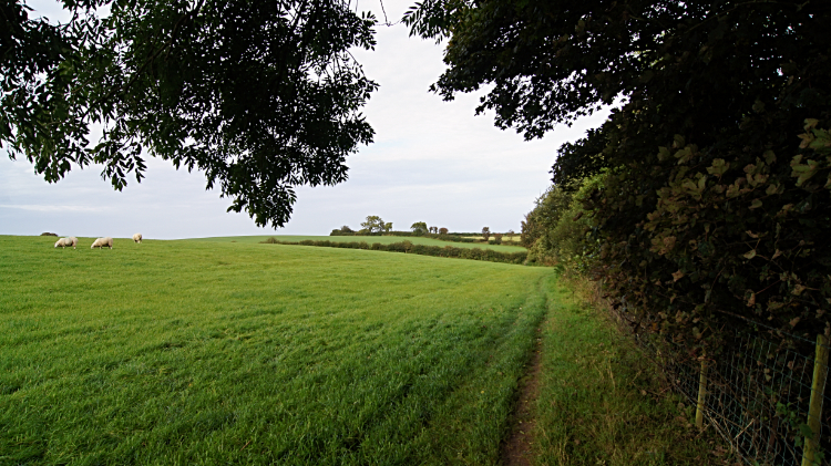 Countryside path back to Moelfre