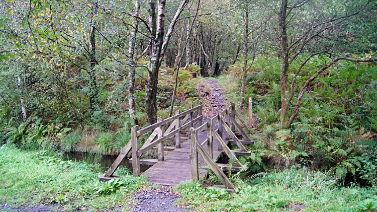 Footbridge over stream near Llyn Elsi North Dam